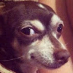 Meet your Posher, Mitch